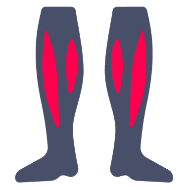 Lower Legs