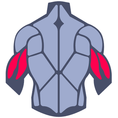 Upper Arms