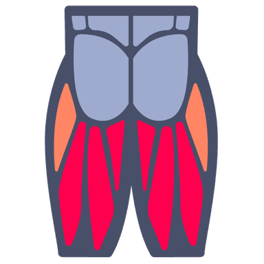 Upper Legs